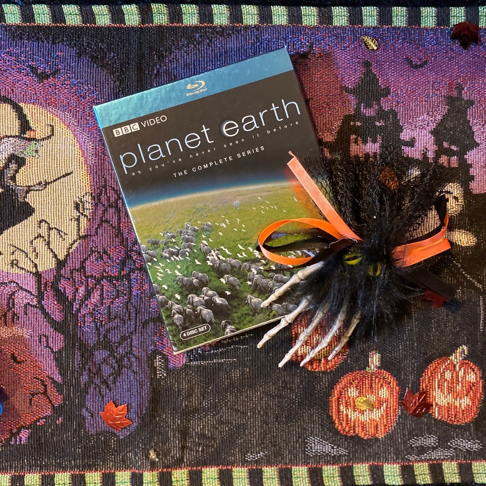 Planet Earth 🌍 - Picture 2 of 6